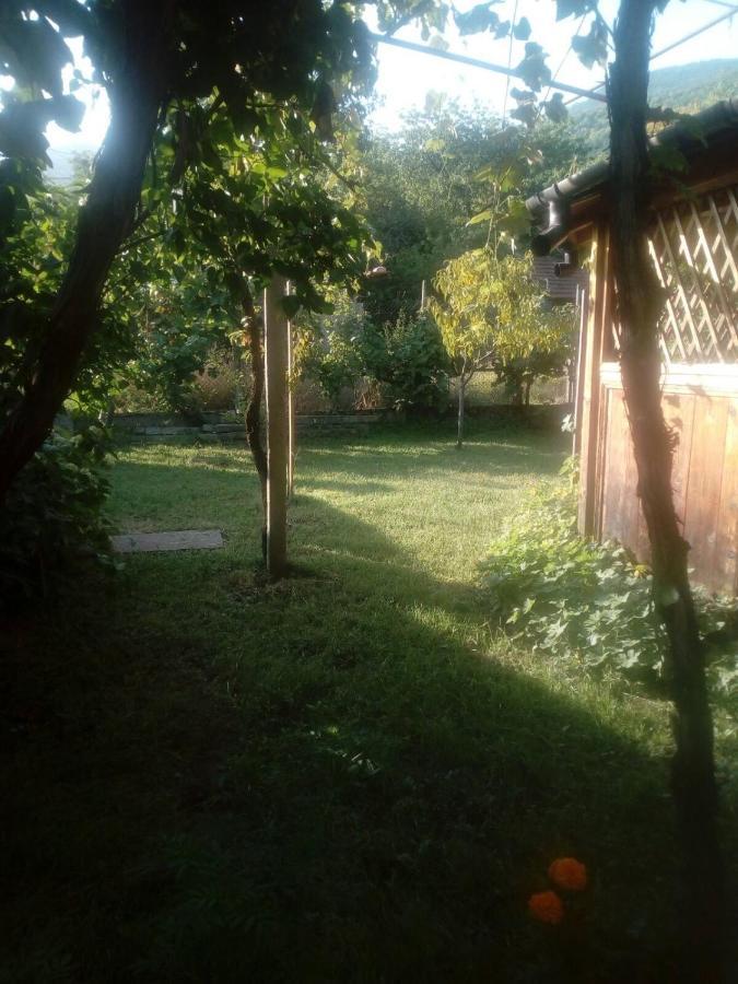 Къща За Гости Ягода Sapareva Banya Exterior photo